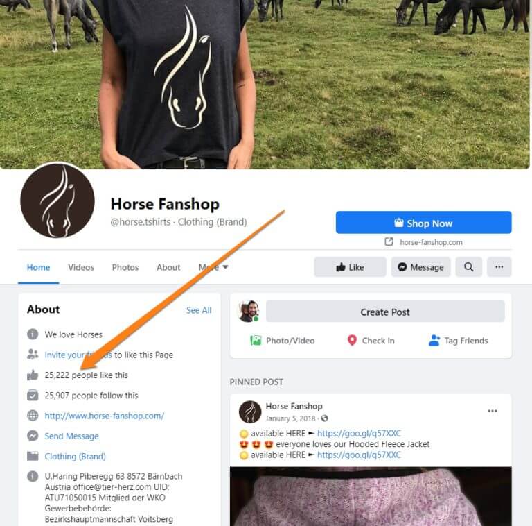 Facebook page for shopify store