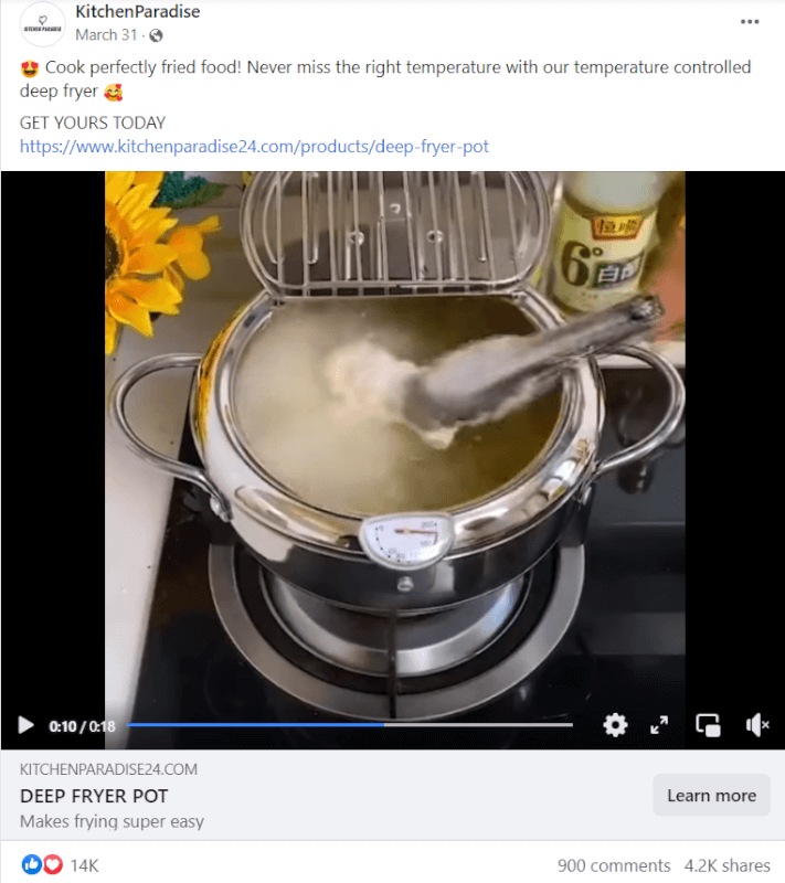 Steel Kitchen Fryer Pot FB top dropshipping products