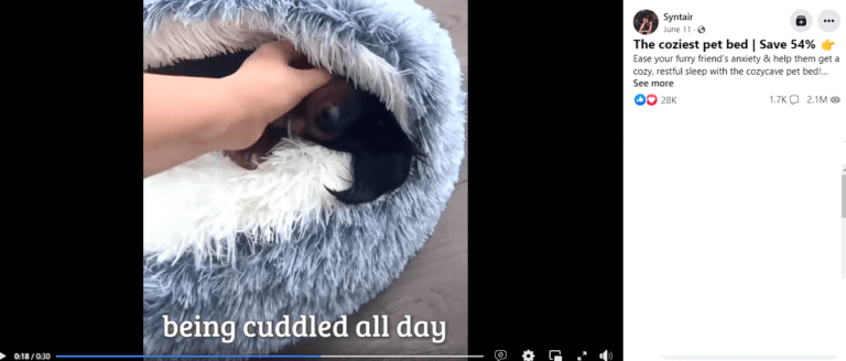 Viral Cat Bed FB ad