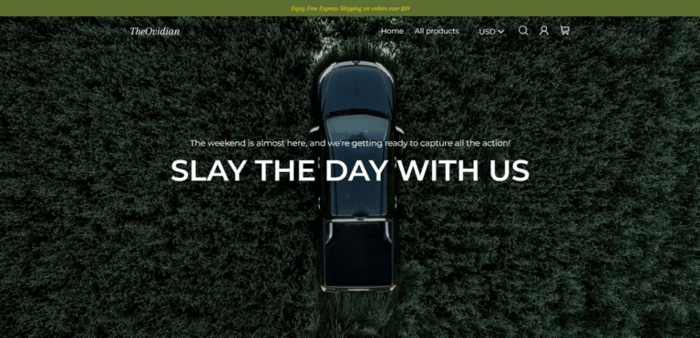 TheOvidian best dropshipping website