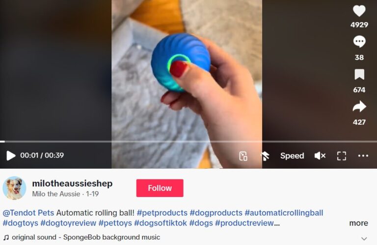 Successful dropshipping product ad