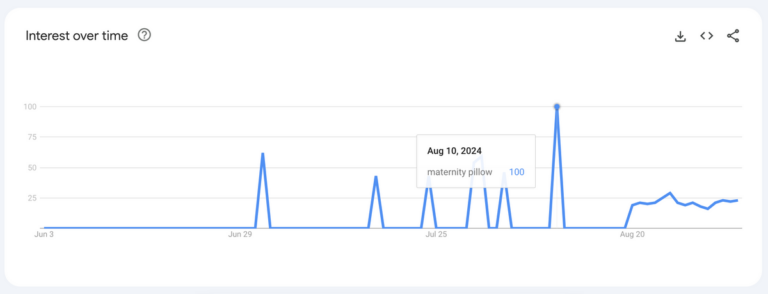 Maternity pillows google trends