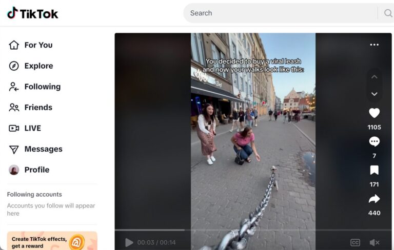 Fake Chain Funny Dog Leash TikTok Ad