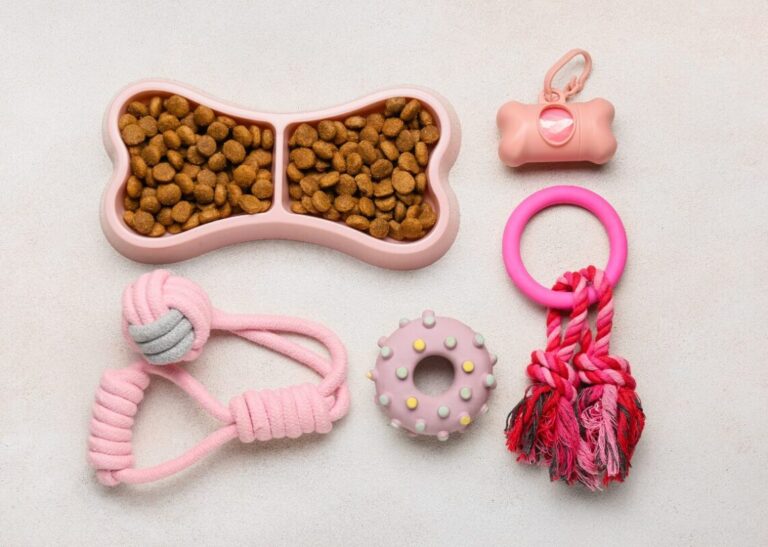 Offer Bundles and Discounts Pet Toys Dropshipping