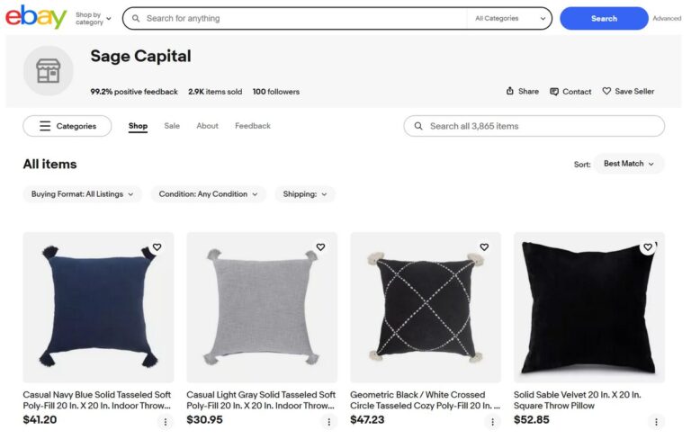 eBay store for dropshipping home depot pillows