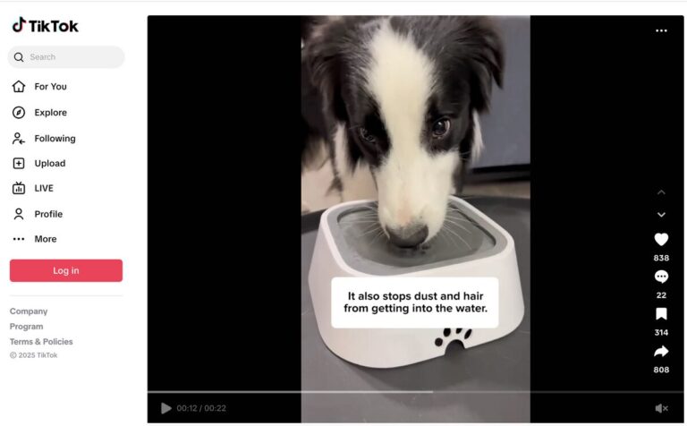 No-Spill Pet Water Bowl TikTok ad for dropshipping in July 2025