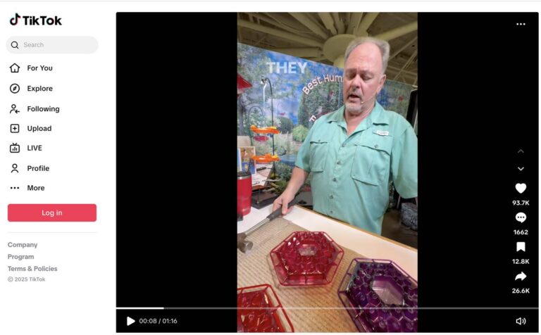 Hanging Hexagonal Bird Feeder TikTok ad for dropshipping in July 2025