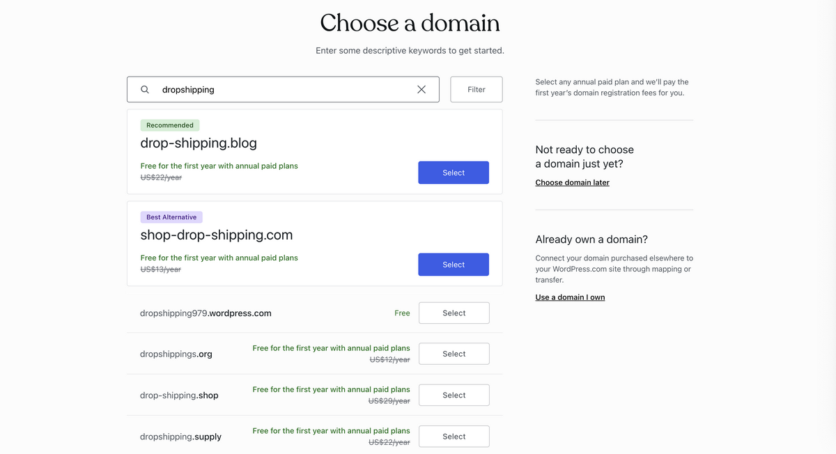 Wordpress domain setup for dropshipping