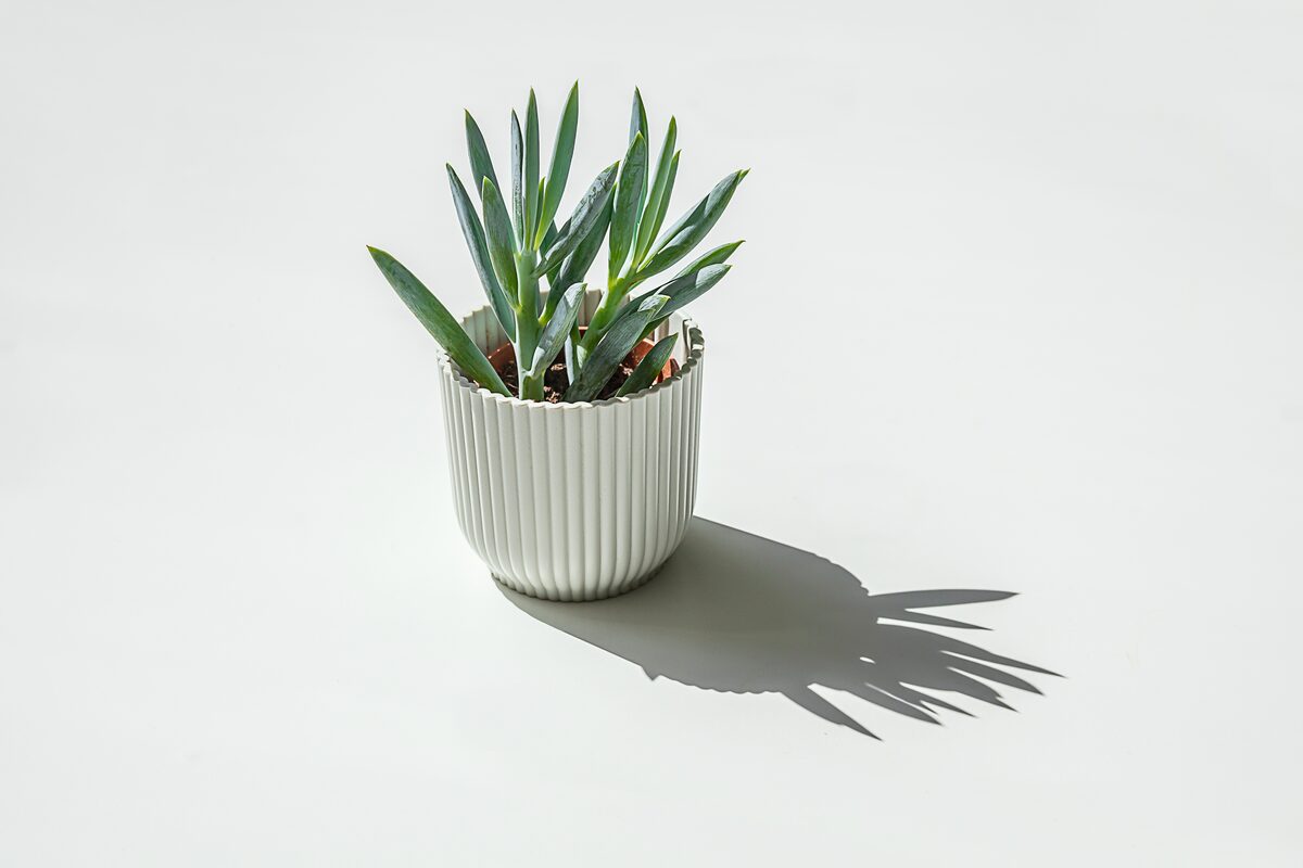 Key Shopping Trends in Spring 2025