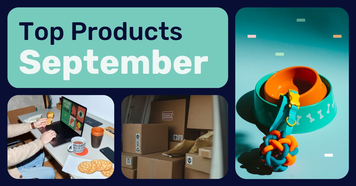 The Best Items To Dropship In September 2025: Top Picks & Tips