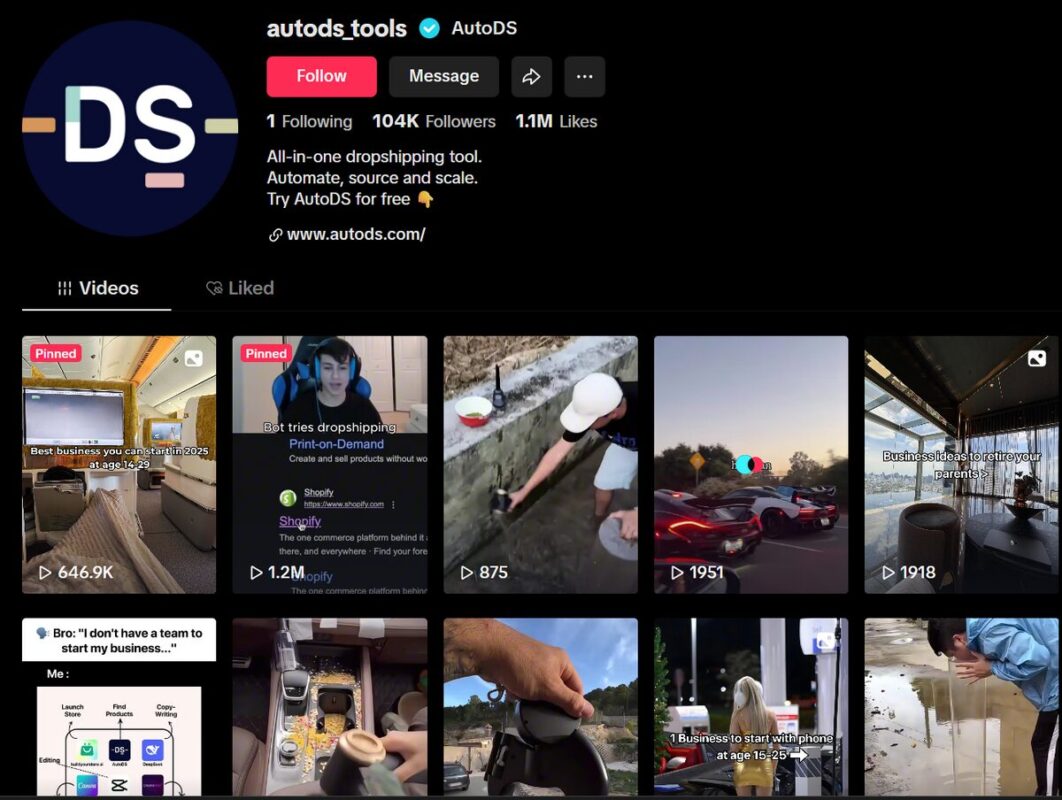 AutoDS TikTok's main page
