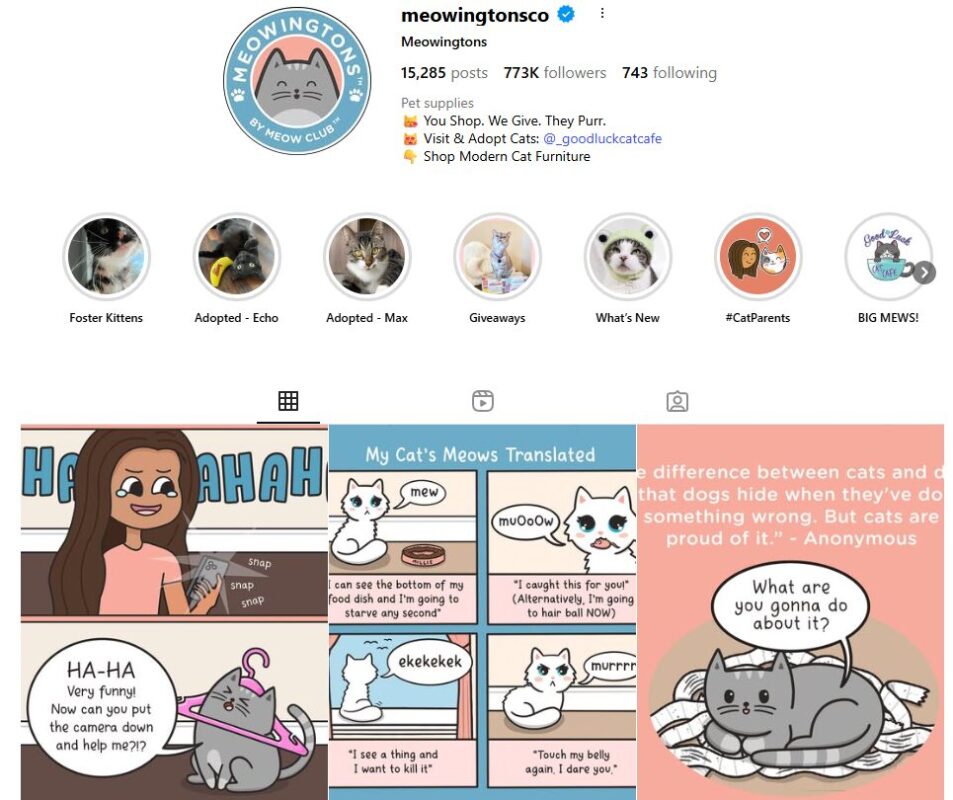 Meowingtons pet products dropshipping store on Instagram