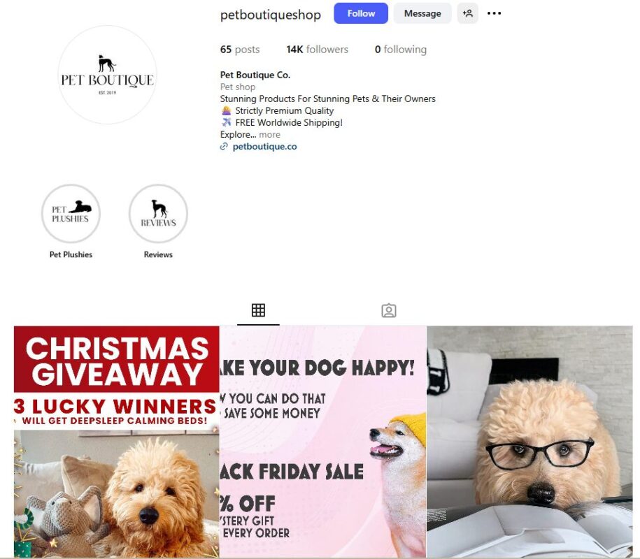 Pet Boutique online store for Instagram dropshipping