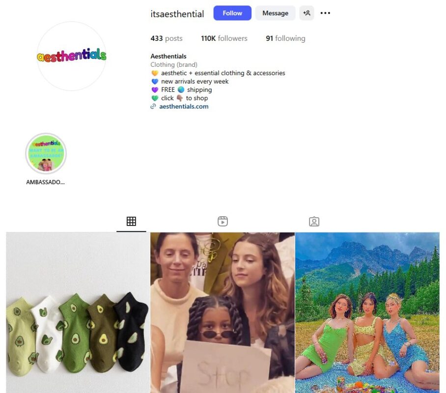 Aesthentials Instagram page for dropshipping business