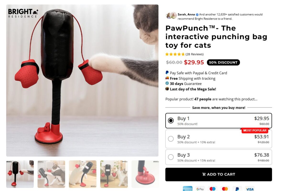 Cat Toy Seller best products to dropship in Q4