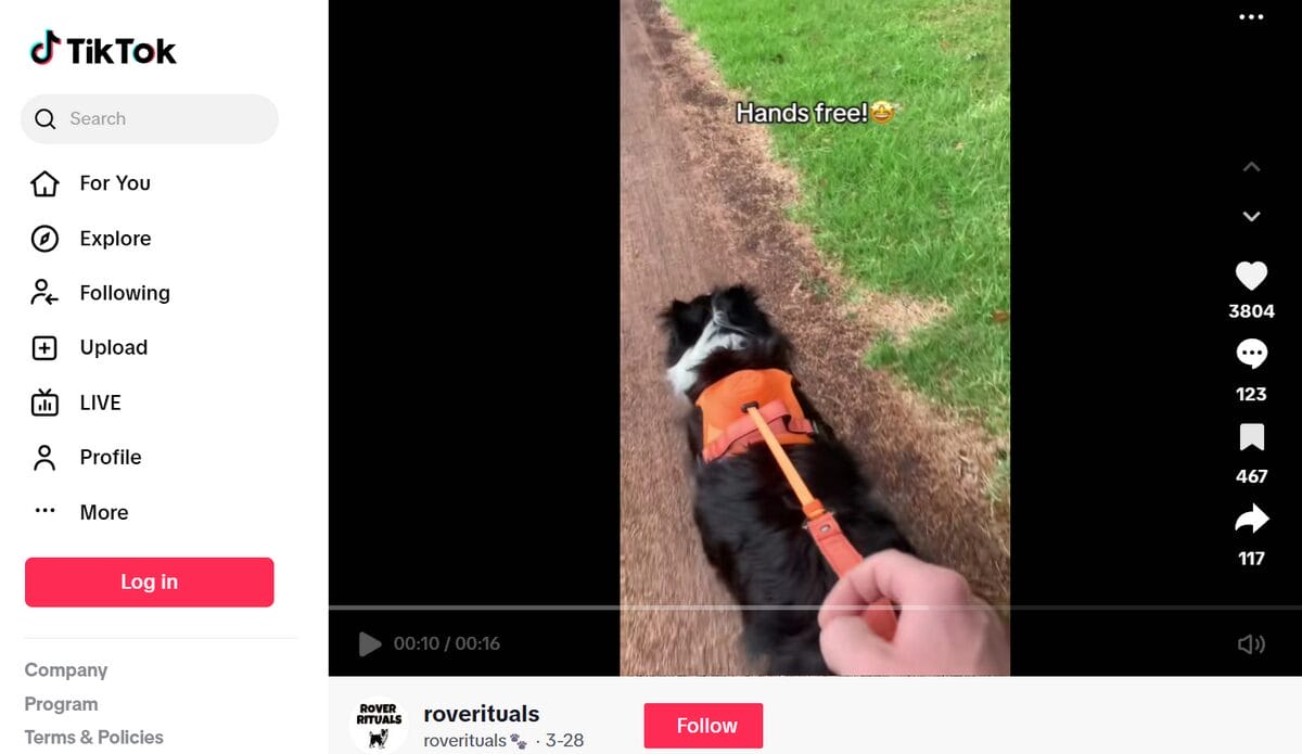 TikTok Ad of products to dropship in November No Pull Dog Harness