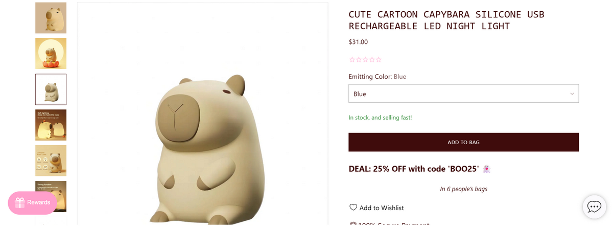Seller’s Website of dropshipping products for November Capybara Night light