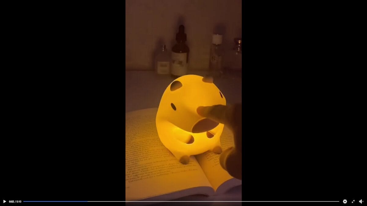 Facebook Ad of products to dropship in November cute night light of capybara