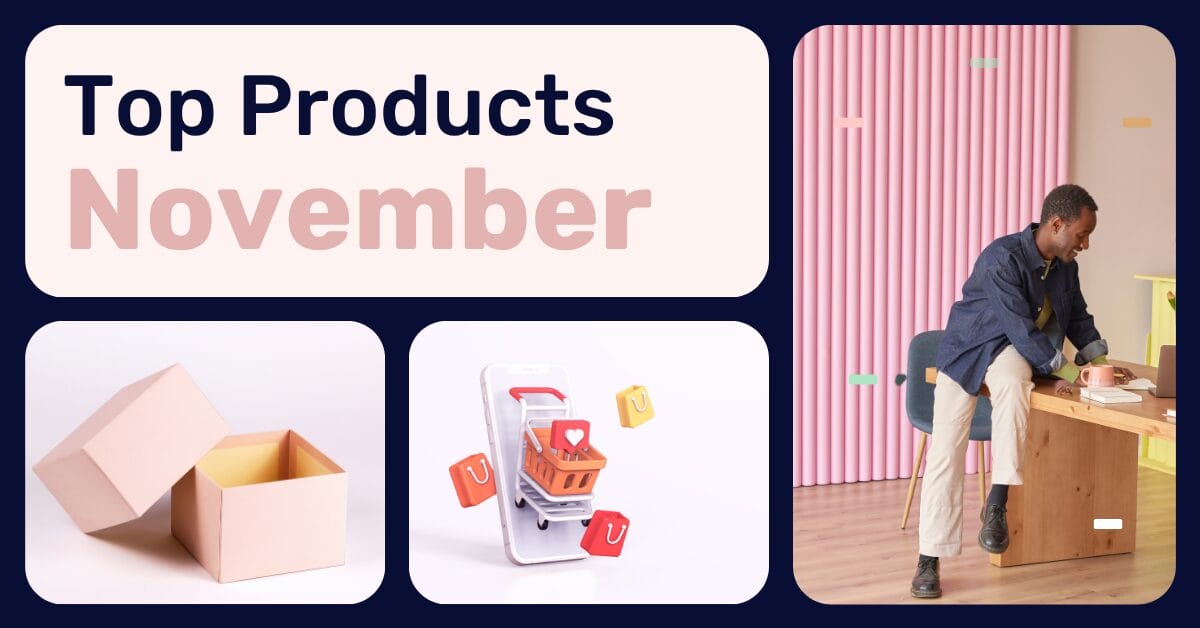 Best Items To Dropship In November 2025: Year-End Winning Products