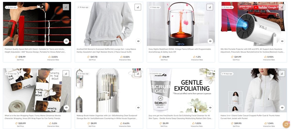 AutoDS Product Suggestions for AI Market Research