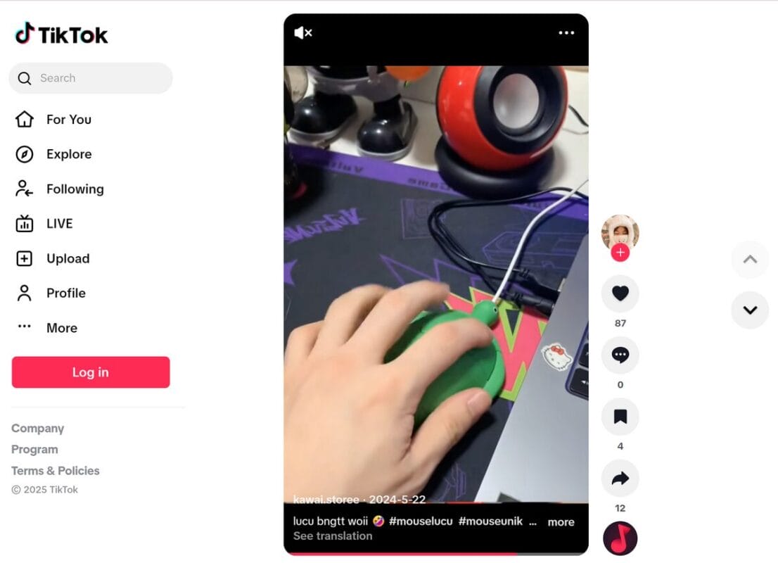 green turtle TikTok ad for dropshipping success