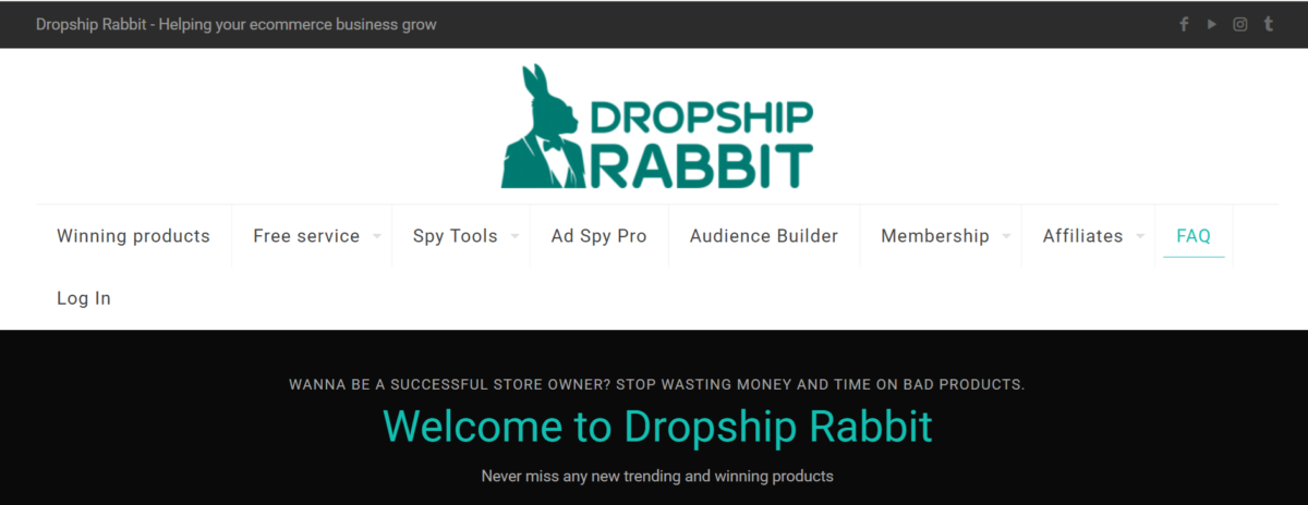 Dropship Rabbit Minea alternative for dropshipping research