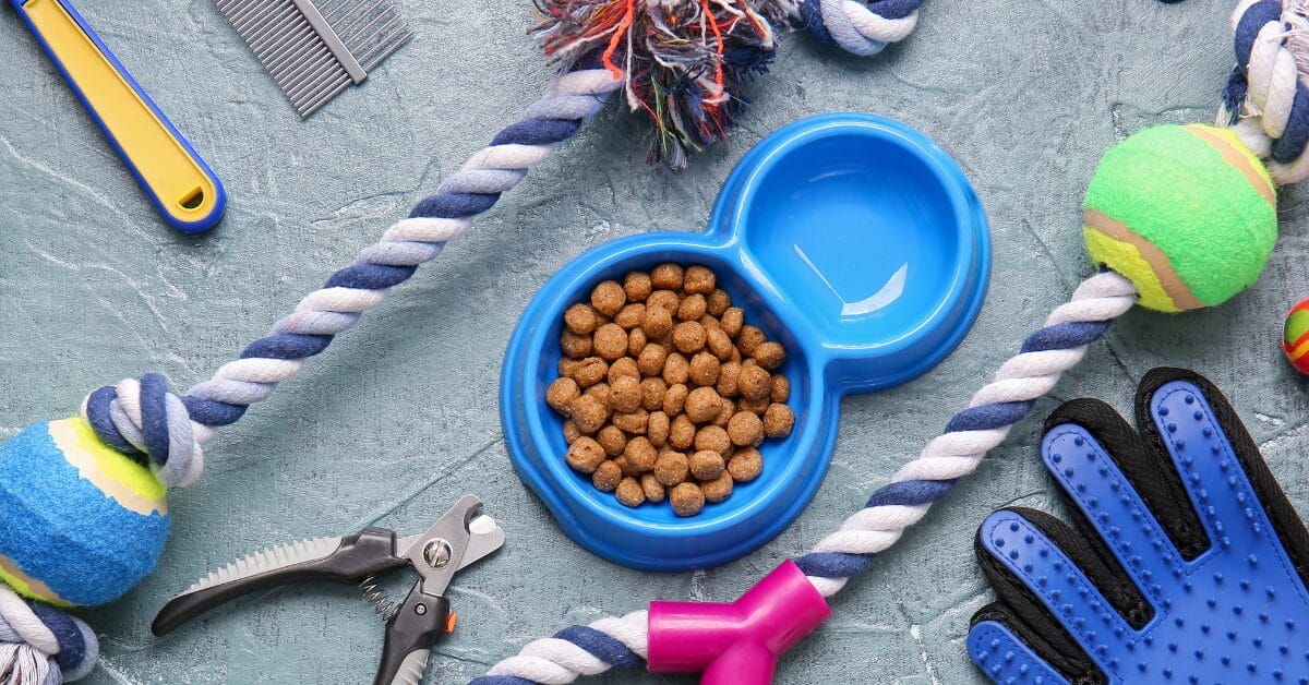 How To Start Dropship Selling Pet Products Online In 2026