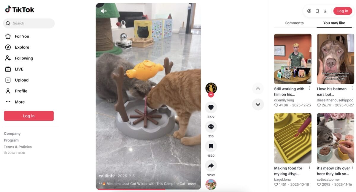 TikTok ad of a pet slow-feeding snack toy, among the top 10 products to dropship in February 2026