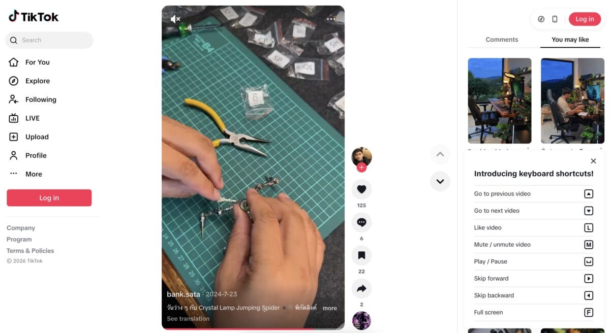 TikTok ad of a 3D Metal Assembly Insect Model, among the top 10 products to dropship in February 2026