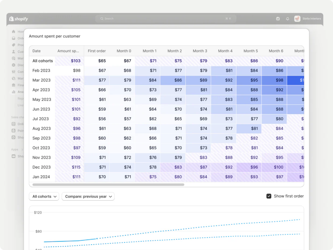 Shopify's financial analytics dashboard