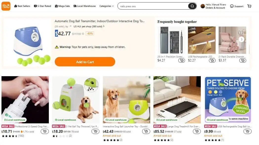 Automatic ball launcher, one of the top dropshipping products of 2025