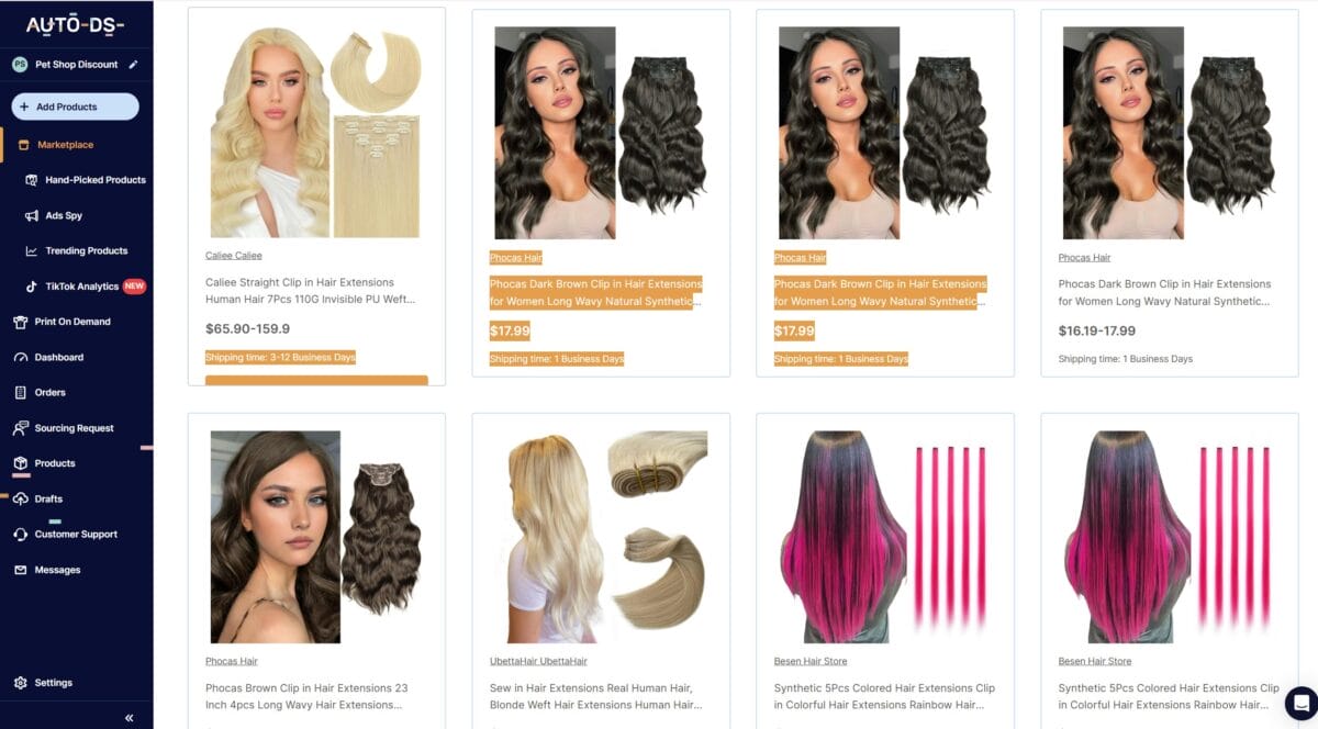 hair and extensions dropshipping niches