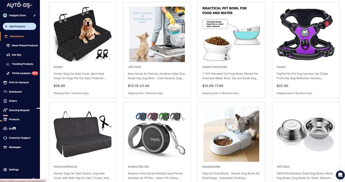 niche selection for dropshipping in the autods marketplace