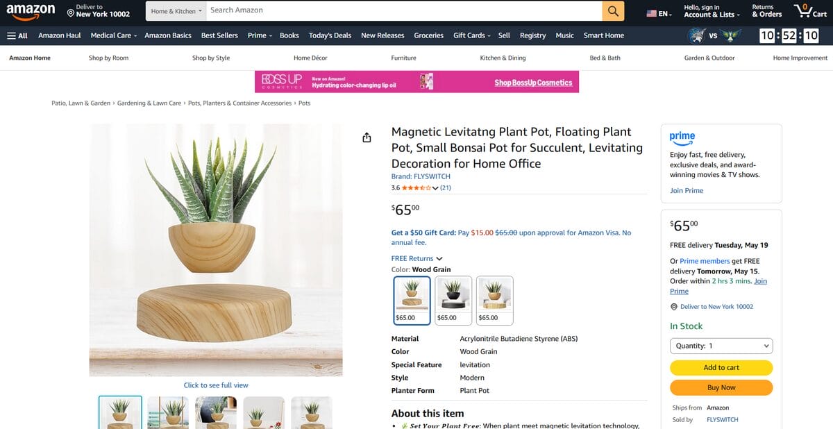 levitating succulent top products to dropship in June 2026