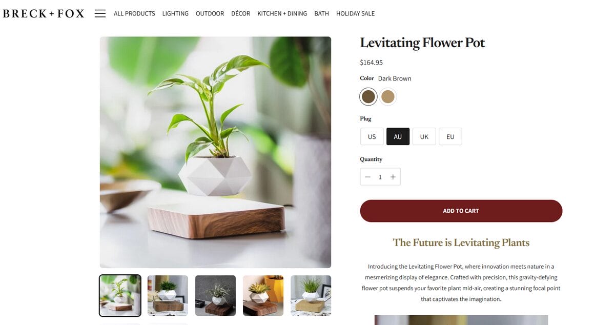 levitating succulent seller website