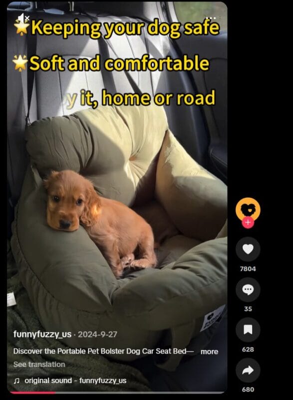 pet cushion tiktok ad