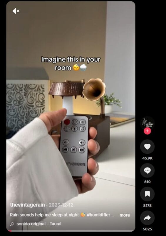 Gramophone White Noise Aromatherapy Humidifier tiktok ad