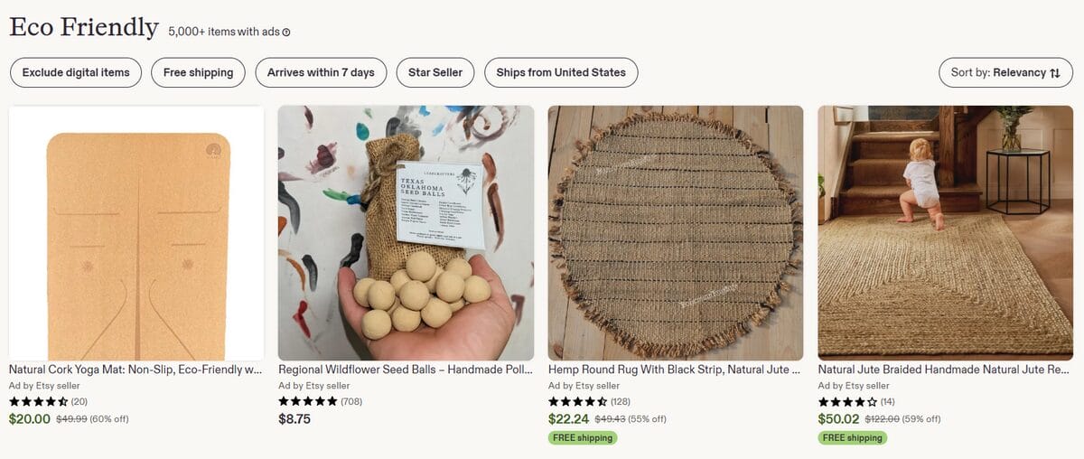 Etsy business idea store for eco-friendly dropshipping products