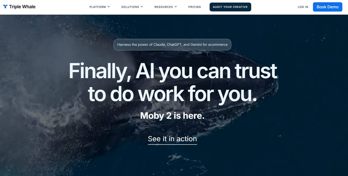 Triple Whale ecommerce analytics tool