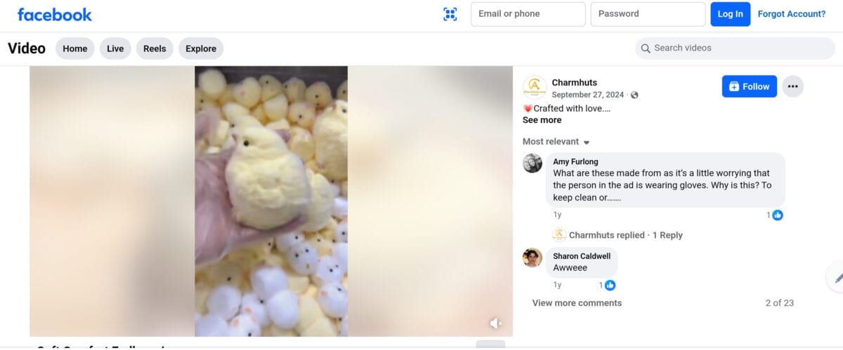 Chick Taba Squishy Facebook Dropshipping