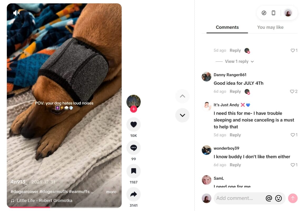 Dog Ear Muffs Dropshipping Item TikTok Ad