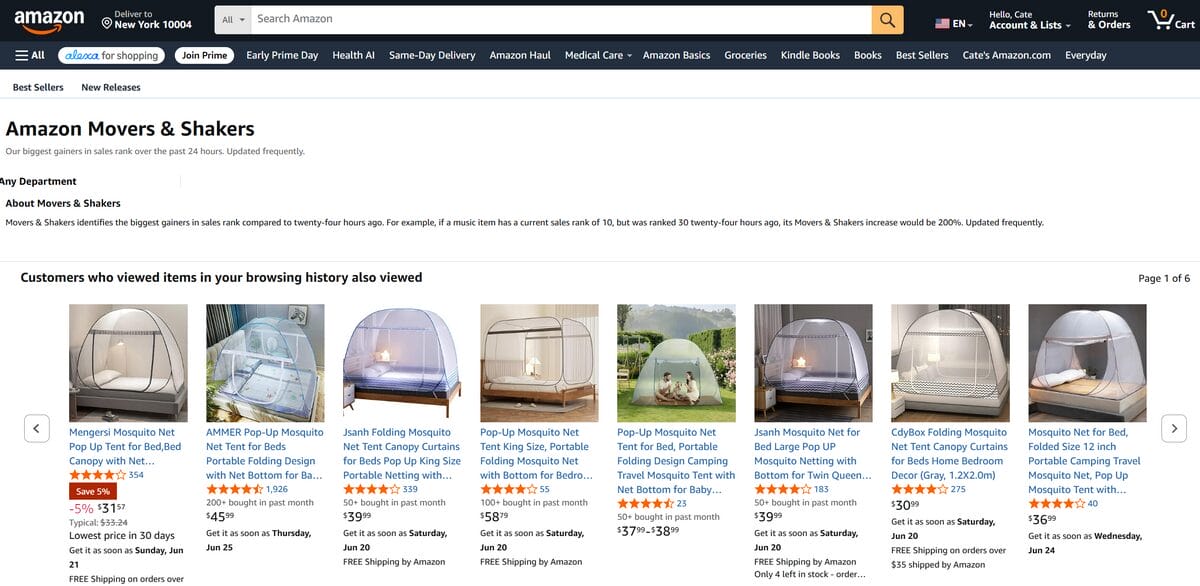 Amazon's Best Sellers and Movers & Shakers For Dropshipping