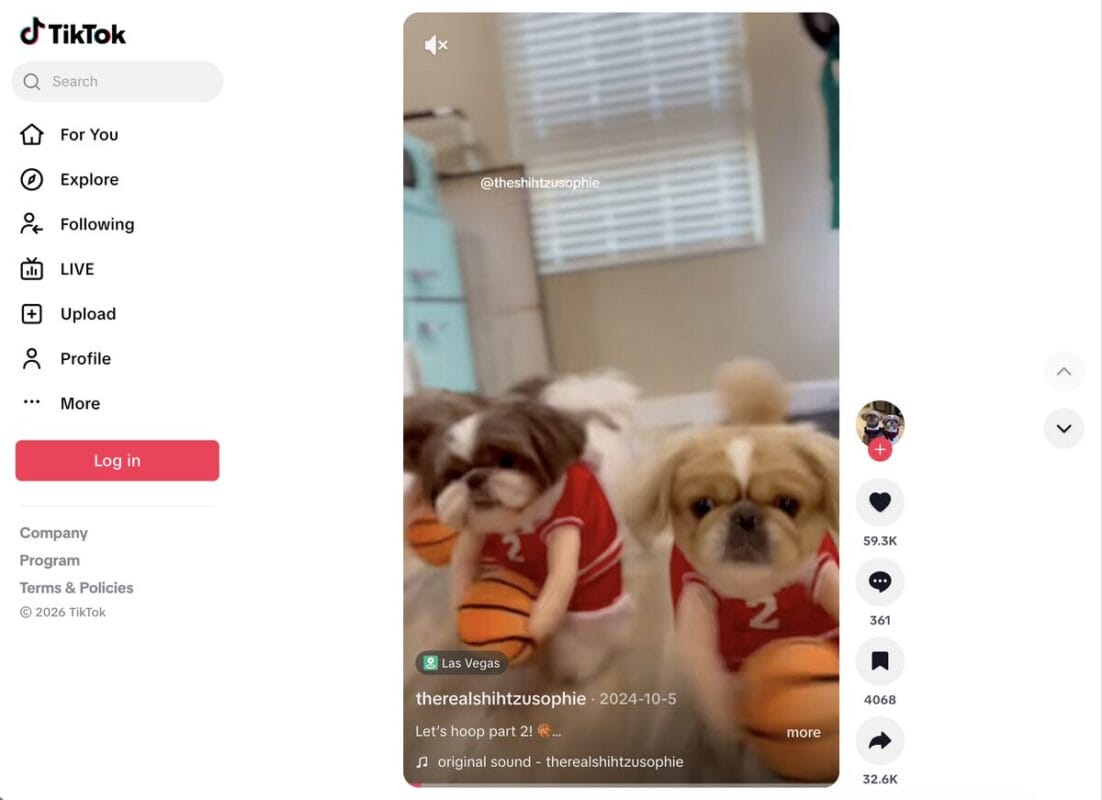 Basketball Dog Costume TikTok ad, one of the best dropshipping products for August 2026