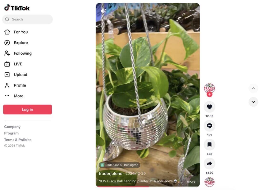 Disco Ball Plant Hanger on seller's website, one of the best dropshipping products for August 2026