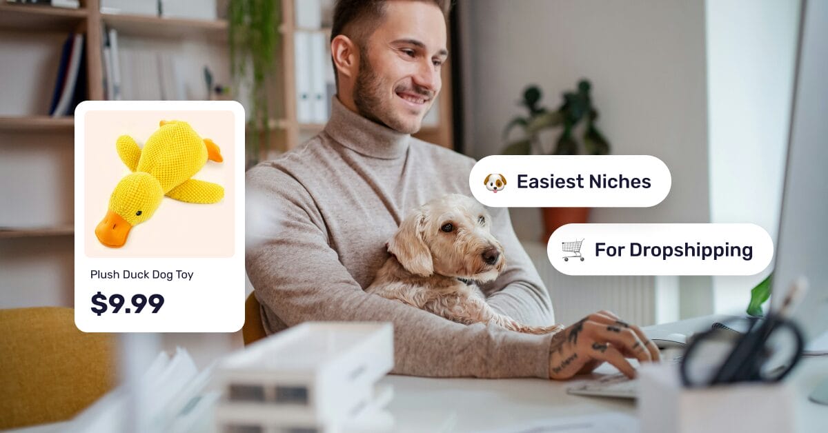 9 Easiest Dropshipping Niches For Beginners In 2026