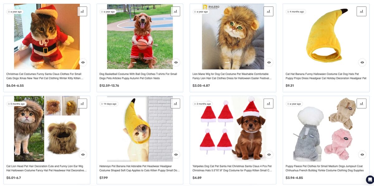 Costumes For Pets, one of the best Q4 dropshipping products
