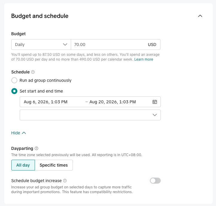 Set up TikTok Ad group budget for dropshipping