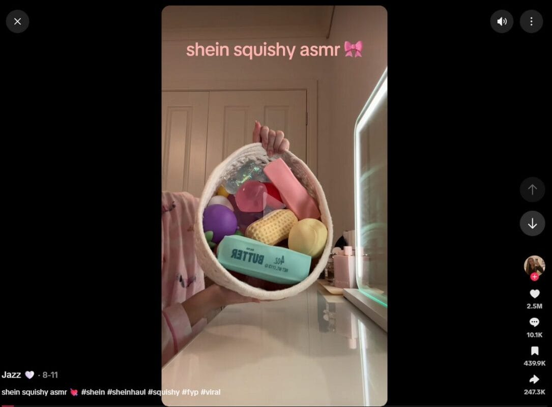ASMR Squishy Toys