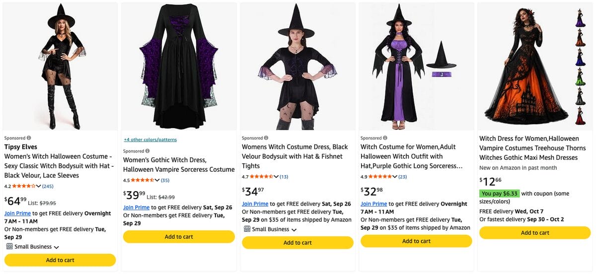 Witch costume, one of the best Halloween dropshipping products
