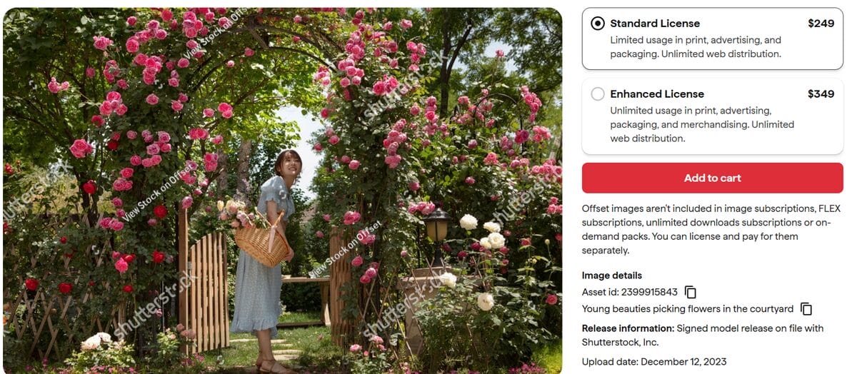 Shutterstock stock image licensing page